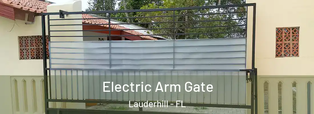 Electric Arm Gate Lauderhill - FL