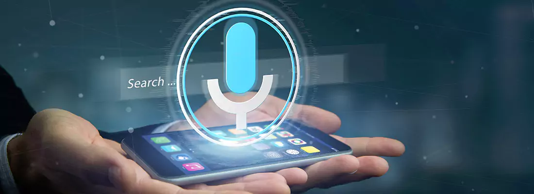 Enhance Security with Voice Recognition Access Systems in Lauderhill, FL